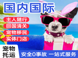 浪头机场物流国际宠物托运 【国
